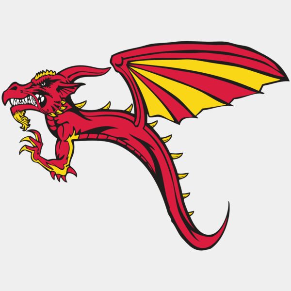 BAW DRAGON 02 RC Thumbnail