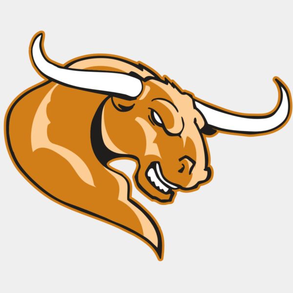 AR BULL 14 RC Thumbnail