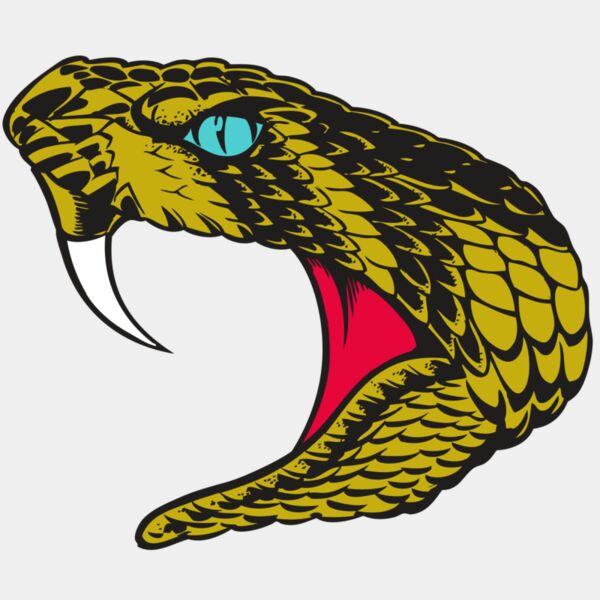 BAW SNAKE 16 RC Thumbnail